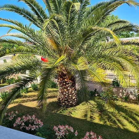 Aura House Free Parking For 6 Cars * Rovinj
